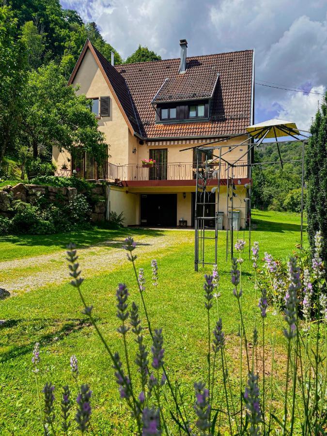 Rombach-le-Franc La Araucania, 2 Personnes - Wifi מראה חיצוני תמונה